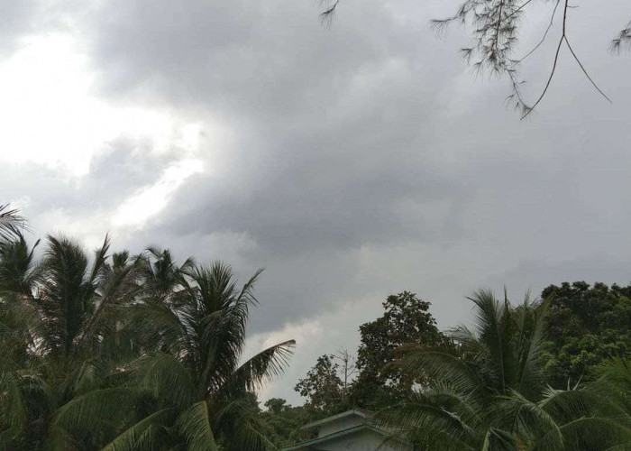 Prakiraan Cuaca Palembang 2 September 2025: Pagi Berawan, Sore Cerah, Malam Kembali Mendung