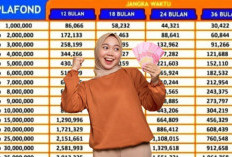 Sudah Punya KUR? Top-Up BRI 2025 Siap Dukung Modal Usaha Lebih Besar, Ini Caranya!