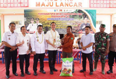 Dukung Produktivitas Petani, Bupati OKI Bagikan Pupuk untuk 972 Hektare Lahan Sawit