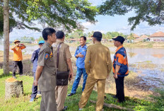 Warga Dihantui Kemunculan Buaya Sungai Komering, BKSDA Tinjau Lokasi untuk Pencegahan