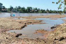 Dilanda Kekeringan, Sungai Komering Menyajikan Pemandangan Unik Pulau Pasir