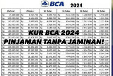 KUR BCA 2024! Pinjaman Tanpa Agunan untuk UMKM, Plafon hingga Rp50 Juta