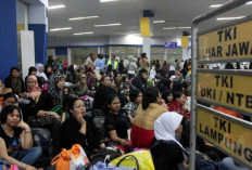 Ratusan Warga OKI Ajukan Rekomendasi Disnakertrans untuk Jadi Calon PMI