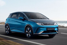 BYD Dolphin: Mobil Listrik Stylish dengan Fitur Premium dan Jarak Tempuh Hingga 490 Km