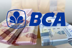 KUR BCA 2024 Tawarkan Pinjaman Usaha dengan Plafon Rp500 Juta dan Bunga 6 Persen