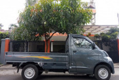 Spesifikasi Gran Max Pick Up: Mesin Tangguh, Dimensi Kompak, Cocok untuk Segala Medan Usaha!