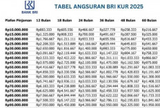Simulasi Cicilan KUR BRI 2025: Pilihan Angsuran untuk Plafon Rp 70 Juta