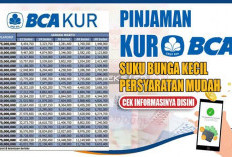 Ajukan KUR BCA 2024 Sekarang, Suku Bunga 6% Per Tahun, Ini Rincian Angsuran Bulanannya