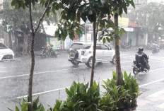 Cuaca Palembang Minggu 4 Mei 2025: Potensi Hujan Lebat dan Angin Kencang BMKG Prediksi Cuaca Ekstrem 