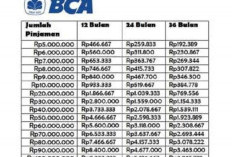 Panduan Lengkap Mengajukan Pinjaman KUR BCA 2024 Tanpa Jaminan