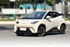 BYD Atto 1 Siap Melantai di GIIAS 2025, Ini Bocoran Harga dan Spesifikasinya!