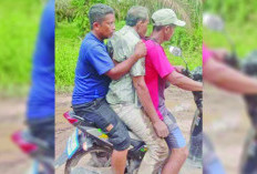 Gajah Liar Serang Warga Air Sugihan, Dua Warga Luka Serius, Satu Dirujuk ke Palembang