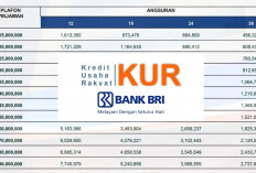 Wort It! Ini Cara Mudah Pinjam KUR BRI Rp70 Juta untuk UMKM, Cek Cicilan dan Syaratnya Disini