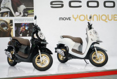 Update Daftar Harga Honda Scoopy Baru dan Bekas