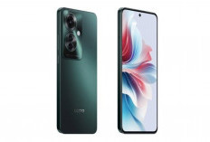 Oppo Reno 11F 5G: Smartphone Terjangkau dengan Spesifikasi Mumpuni, Cek Keunggulannya di Sini! 