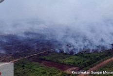 Puluhan Hektar Lahan Gambut Milik Perusahaan di Sungai Menang Terbakar, 4 Helikopter Dikerahkan