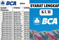 Pinjaman KUR BCA 2024, Modal Usaha Cepat Cair Tanpa Jaminan Hingga Rp100 Juta