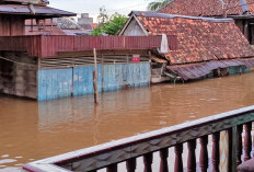 10 Hari Digenangi Banjir, Warga Pilih Bertahan Meski Sulit Akses Logistik