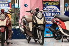 Yamaha Fino Sporty 125 Blue Core: Cek Harga Motor Matic Bekas Desember 2024 dengan Bodi Ramping dan Elegan