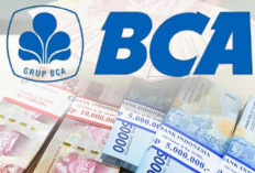 Dapatkan Pinjaman Dana KUR BCA 2025 Hingga Rp500 Juta dengan Proses Cepat dan Mudah, Ini Syarat Wajibnya