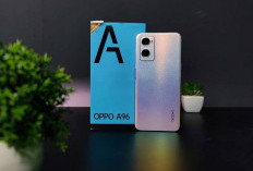 OPPO A96, HP Mid Range dengan  Performa Bagus dan Kamera yang Memadai, Segini Harganya!