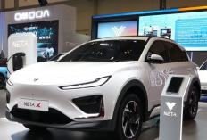 Neta X Tampil Memukau di GIIAS 2024, SUV Listrik dengan Baterai Tahan Lama dan Pengisian Ultra Cepat