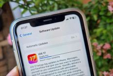 iOS 17.5 Resmi Dirilis: Cek Daftar iPhone yang dapat dan Cara Update, Apakah Perangkat Anda Termasuk?