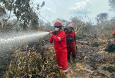 Pemadaman Sisa Bara Api di Karhutla Tanjung Sari II OKI Berhasil Diselesaikan