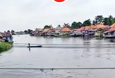 Viral di Medsos! Warga Desa Lingkis OKI Kesetrum di Jembatan dan Tercebur ke Sungai