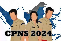 Rekrutmen CPNS 2024 Dibuka Bulan Ini: Simak Syarat Terbaru dan Cara Daftarnya Disini