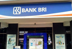 Plafon Naik, Syarat Gampang! KUR BRI 2025 Siap Dukung UMKM Berkembang, Bunga Tetap 6%, Tenor 3 Tahun