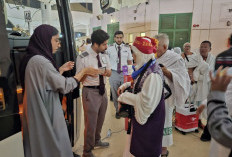 Keberangkatan Gelombang Kedua Dimulai, 16 Kloter Jemaah Calon Haji Indonesia Tiba di Jeddah Hari Ini 