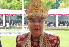 Keputusan MK Berlaku pada Pilkada 2024, Wakil Ketua DPR Sufmi Dasco Ahmad: Pengesahan Revisi UU Pilkada Batal