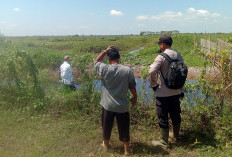 Polsek Jejawi Mulai Patroli di Titik Rawan Kebakaran Hutan