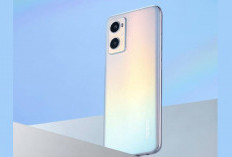 Cek Harga Terbaru Oppo A96 di Agustus 2024, Smartphone Entry-Level dengan Performa yang Tangguh! 