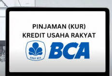 Cara Mudah Ajukan Pinjaman KUR BCA 2025: Ini Syarat Lengkap dan Bunga yang Harus Diketahui