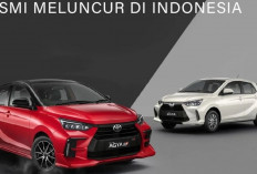 Honda Brio Vs Toyota Agya Mana yang Lebih Irit? DUO Mobil LCGC Unggulan yang Minimalis tapi Karismatik