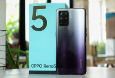 Oppo Reno 5 F, HP Mid-Range dengan Spesifikasi Menggiurkan Kini Turun Harga, Hanya Rp2 Jutaan!