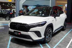 Tips Cerdas Membeli Mobil Pertama, Hindari 3 Kesalahan Ini!