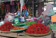 Panen Serentak! Harga Cabai Keriting di Pasar Kayuagung Turun Drastis