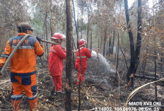 Karhutla di Desa Rambai Pangkalan Lampam OKI, Terkendali Setelah 4 Hari Terbakar