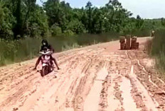 Jalan Rusak Parah di Desa Cambai, Warga Harap Pemerintah Segera Bertindak