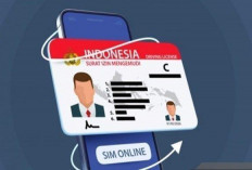 Biaya Pembuatan SIM Secara Online Terbaru! Sekarang Tanpa Ribet dan Makin Mudah