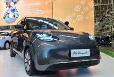 Spesifikasi Lengkap Wuling BinguoEV Lite dan Pro, Ini Perbedaanya