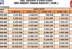 KUR BNI 2025 Kembali Dibuka, Bunga Rendah dan Cicilan Ringan untuk Pelaku UMKM