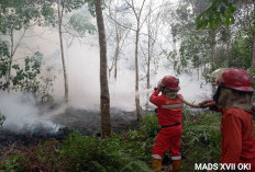 Penanganan Karhutla di Muba dan OKI! Hukum Ditegakkan, Upaya Pemadaman Diintensifkan