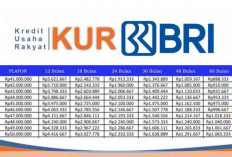 KUR BRI 2025 Dibuka Kembali: Pinjaman Usaha dengan Bunga Rendah dan Cicilan Terjangkau, Ini Cara Cepat ACC!