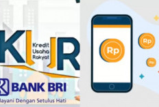 TERBARU! Cara Mudah Ajukan KUR BRI 2024, Pinjaman Tanpa Jaminan Hingga Rp100 Juta