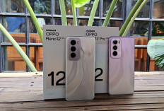 Harga Rp 8 Juta, Oppo Reno 12 Pro 5G Bawa Fitur AI LinkBoost & Kamera Portrait Telephoto
