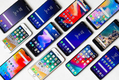 5 Rekomendasi Smartphone Terbaik di Juli 2024 ,Harga Mulai dari Rp2 Jutaan Saja!